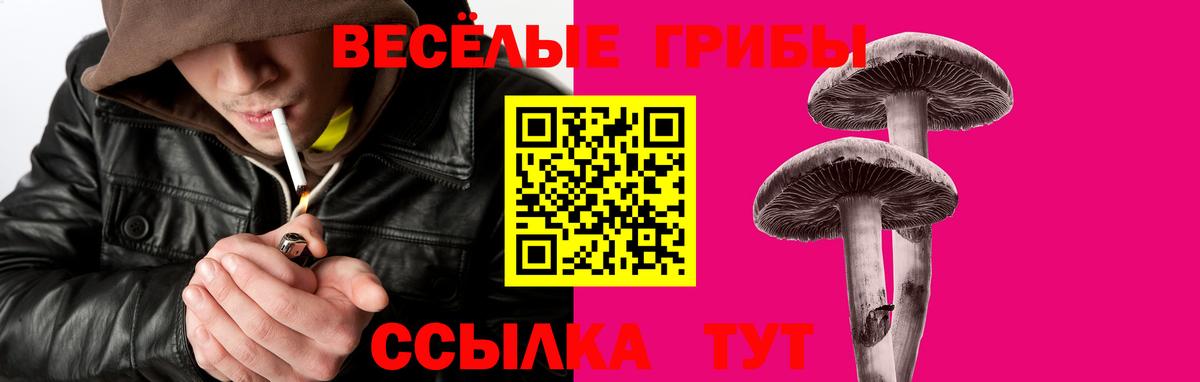 Псилоцибиновые грибы Psilocybe  Вход с VPN  Галлюциногенные грибы прущие грибы  Сокол 
